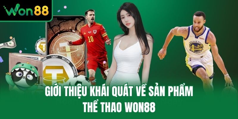 Giới thiệu khái quát về sản phẩm thể thao Won88