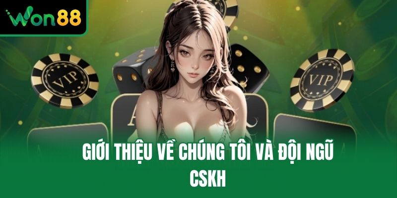 Giới thiệu về chúng tôi và đội ngũ CSKH