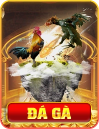 Đá gà won88