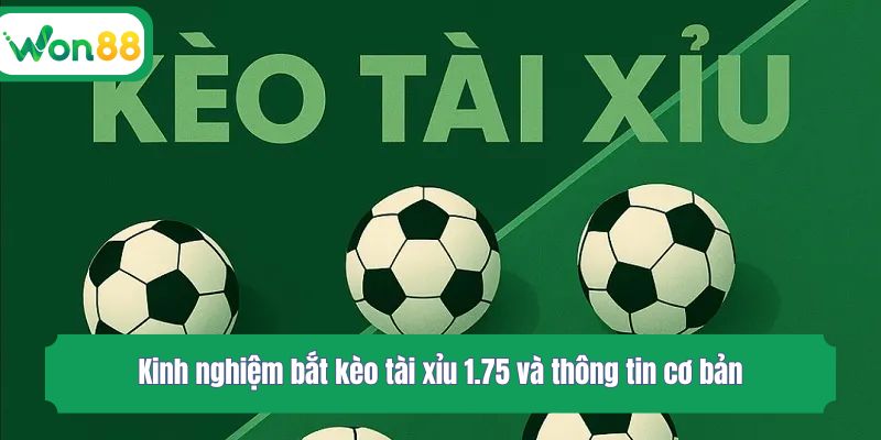 Kinh nghiệm bắt kèo tài xỉu 1.75 và thông tin cơ bản