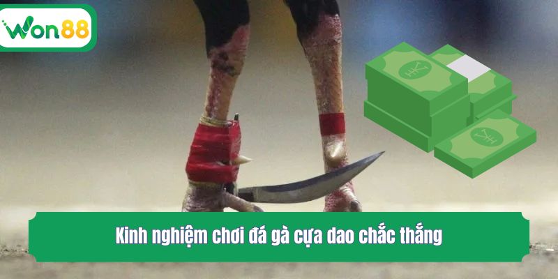 Kinh nghiệm chơi đá gà cựa dao chắc thắng