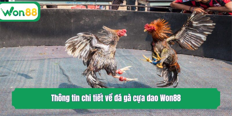 Thông tin chi tiết về đá gà cựa dao Won88